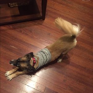 Meet your Posher, Anna